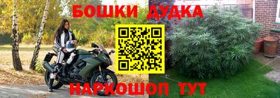 PSILOCYBIN Балахна