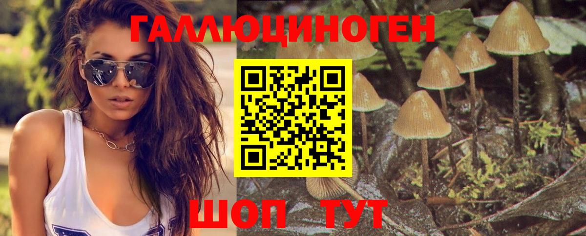 Галлюциногенные грибы прущие грибы  Вход с VPN  Дербент 