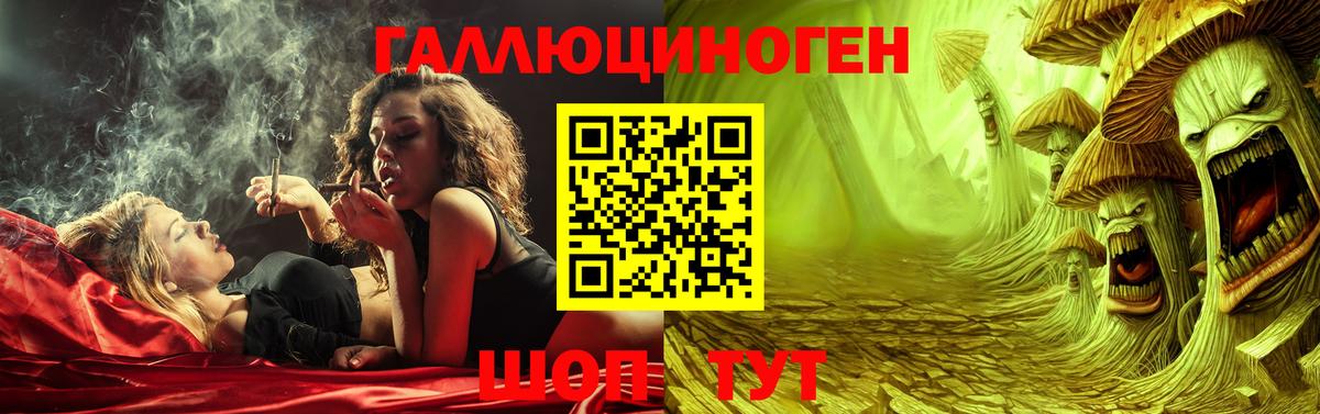 Галлюциногенные грибы GOLDEN TEACHER Дербент